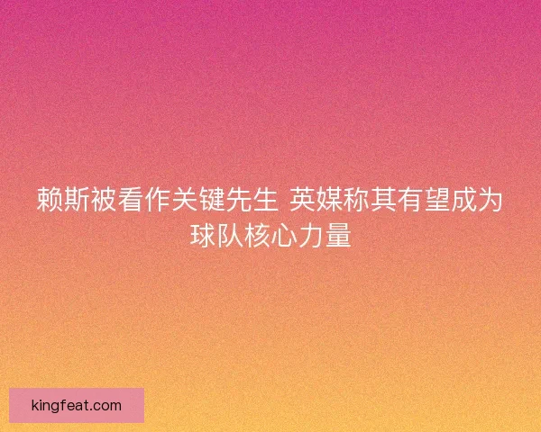 赖斯被看作关键先生 英媒称其有望成为球队核心力量