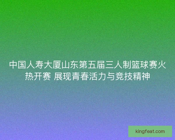 中国人寿大厦山东第五届三人制篮球赛火热开赛 展现青春活力与竞技精神