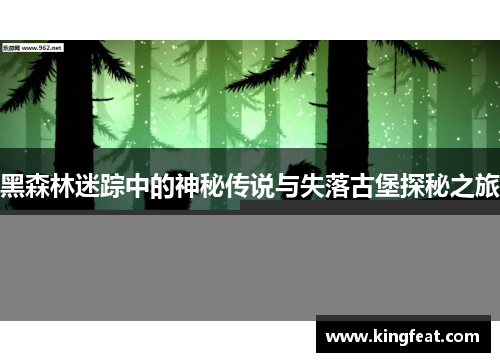 黑森林迷踪中的神秘传说与失落古堡探秘之旅