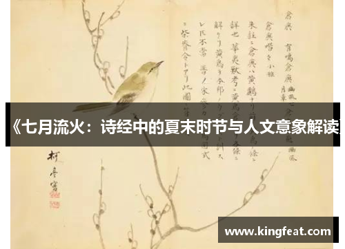 《七月流火：诗经中的夏末时节与人文意象解读》